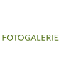 FOTOGALERIE
