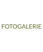 FOTOGALERIE
